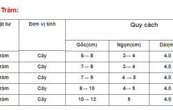 Cừ Tràm & Ứng dụng cọc cừ tràm trong xây dựng 